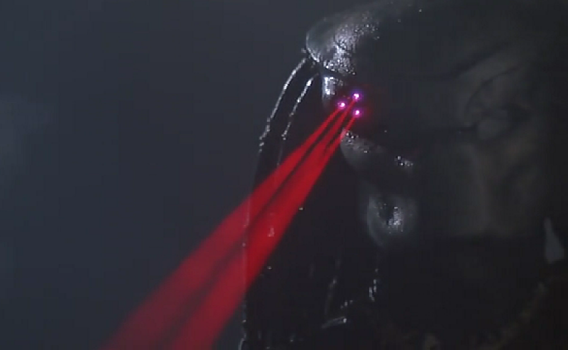predator aiming tridot laser